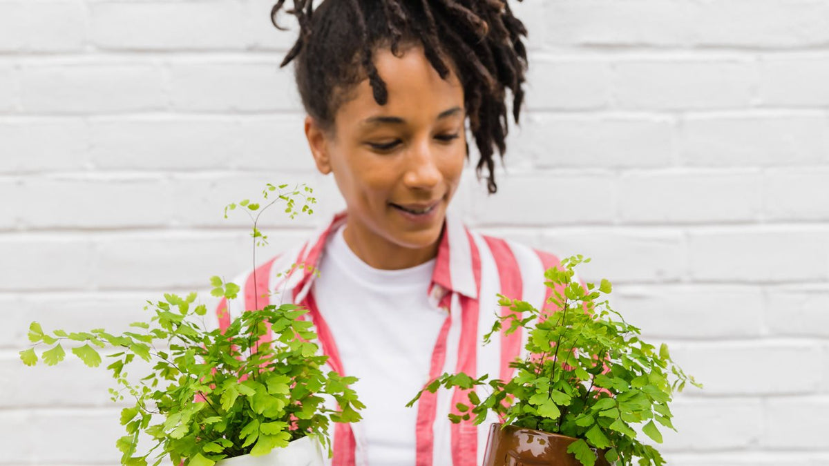 The Health and Beauty Benefits of Plants!