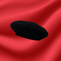 Stylish Black Sherpa Beret Hat